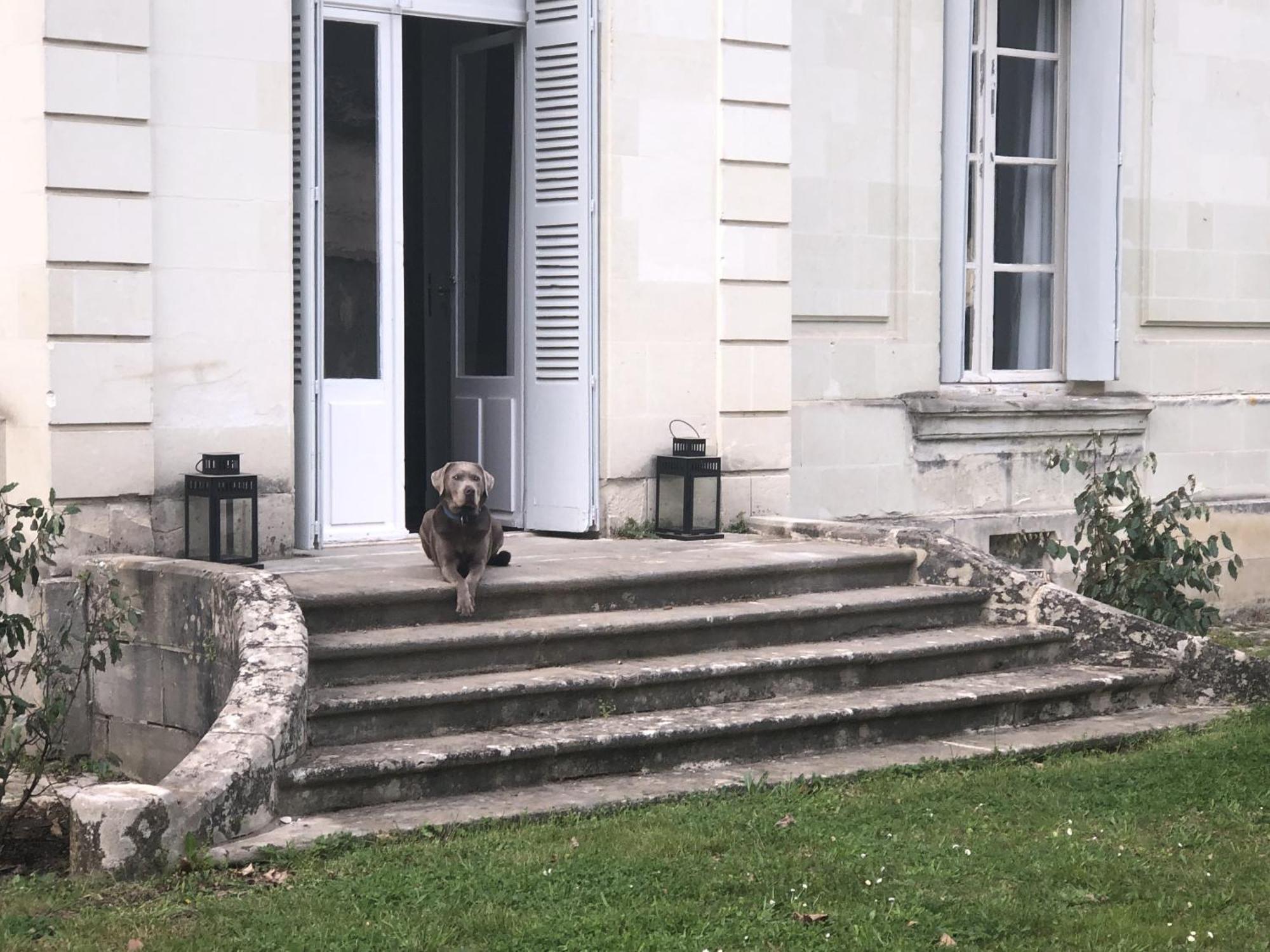 Bed and Breakfast La Grande Carree Saint-Cyr-sur-Loire Zewnętrze zdjęcie